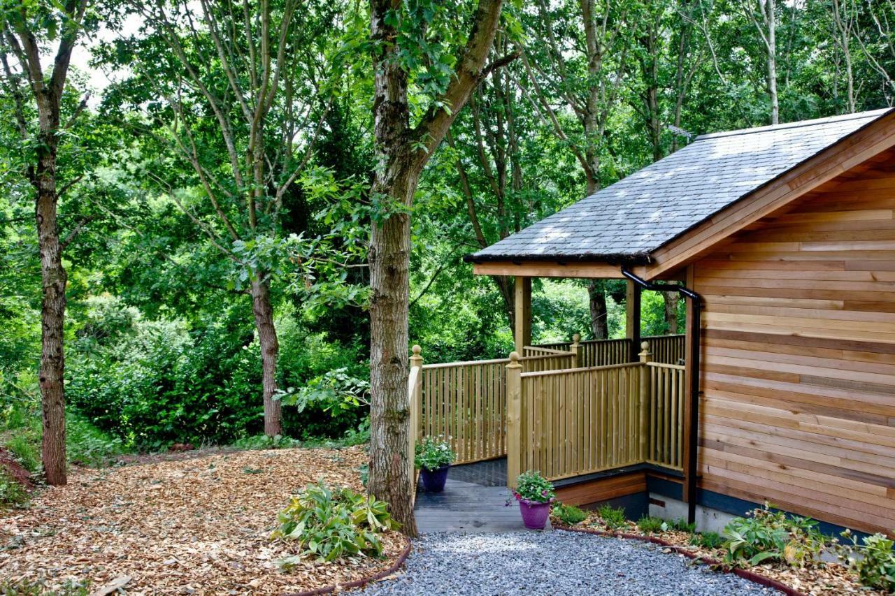 Cedar Lodge, South View Lodges, Exeter Buitenkant foto