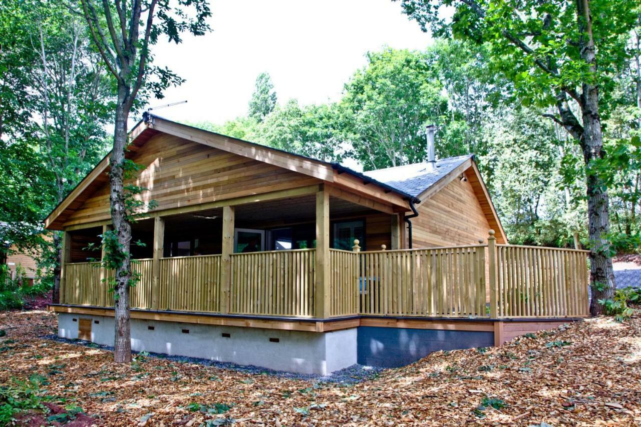 Cedar Lodge, South View Lodges, Exeter Buitenkant foto
